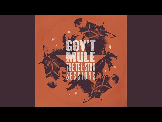 GOV'T MULE - MONKEY HILL