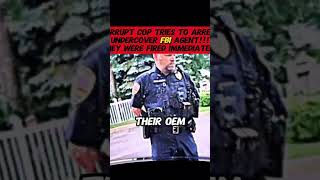 Corrupt Cop Tries to Arrest Undercover Fbi Agent!!! They Were Fired Immediately 2 1