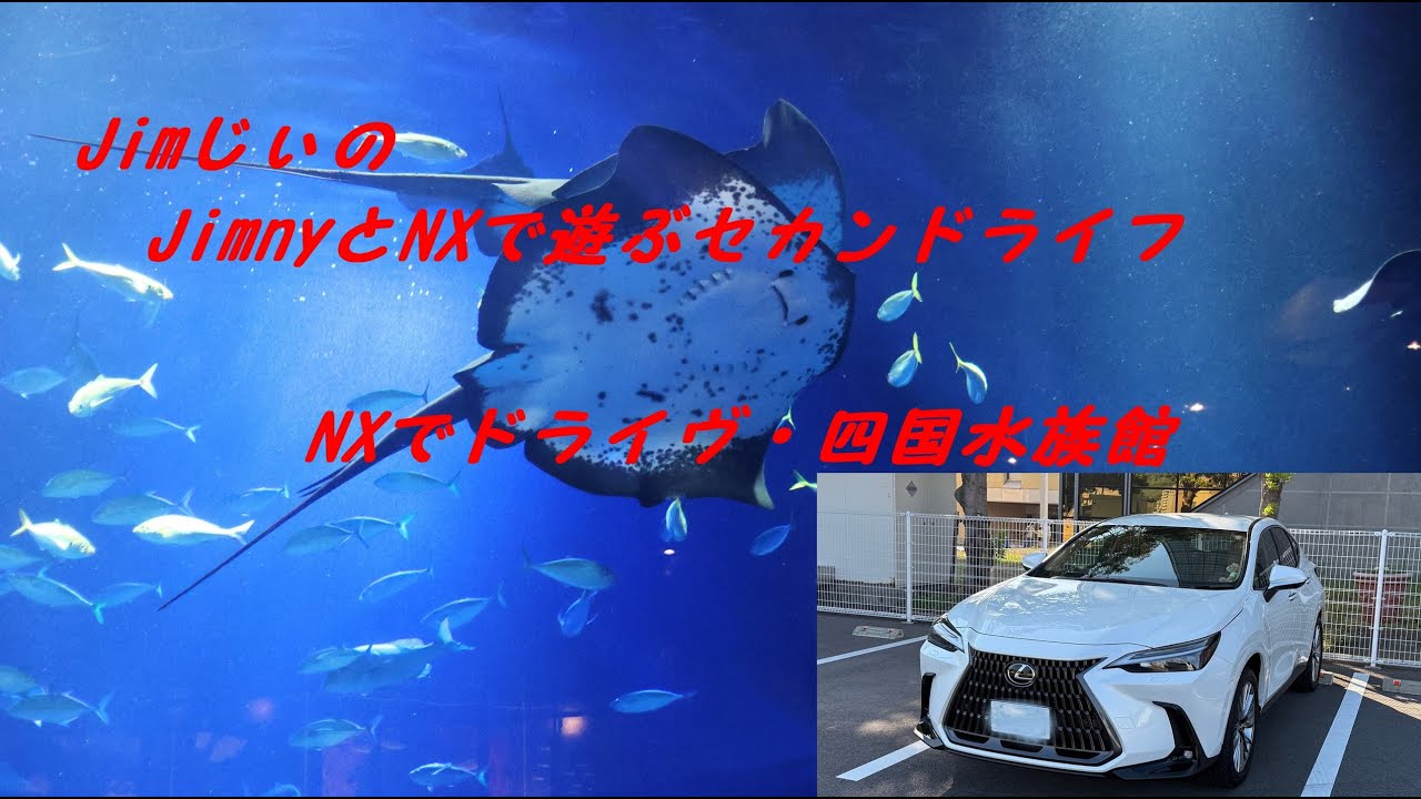 レクサスNXでドライヴ・四国水族館