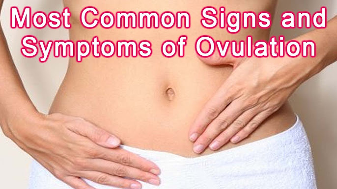 When do Ovulation Symptoms Start in a Woman? - Raadina Health