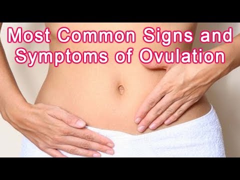 signs-of-ovulation-–-most-common-signs-and-symptoms-of-ovulation
