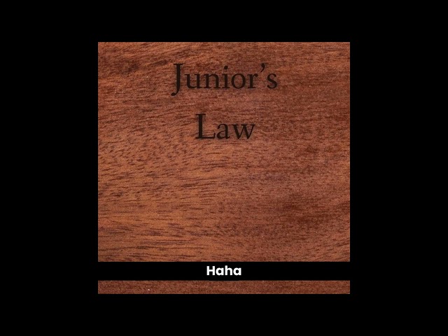 JUNIOR'S LAWNEW!Skepta