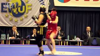 The gala of the European Wushu Championships, 2014