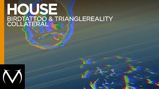 [House] - Birdtattoo & TriangleReality - Collateral [Free Download]