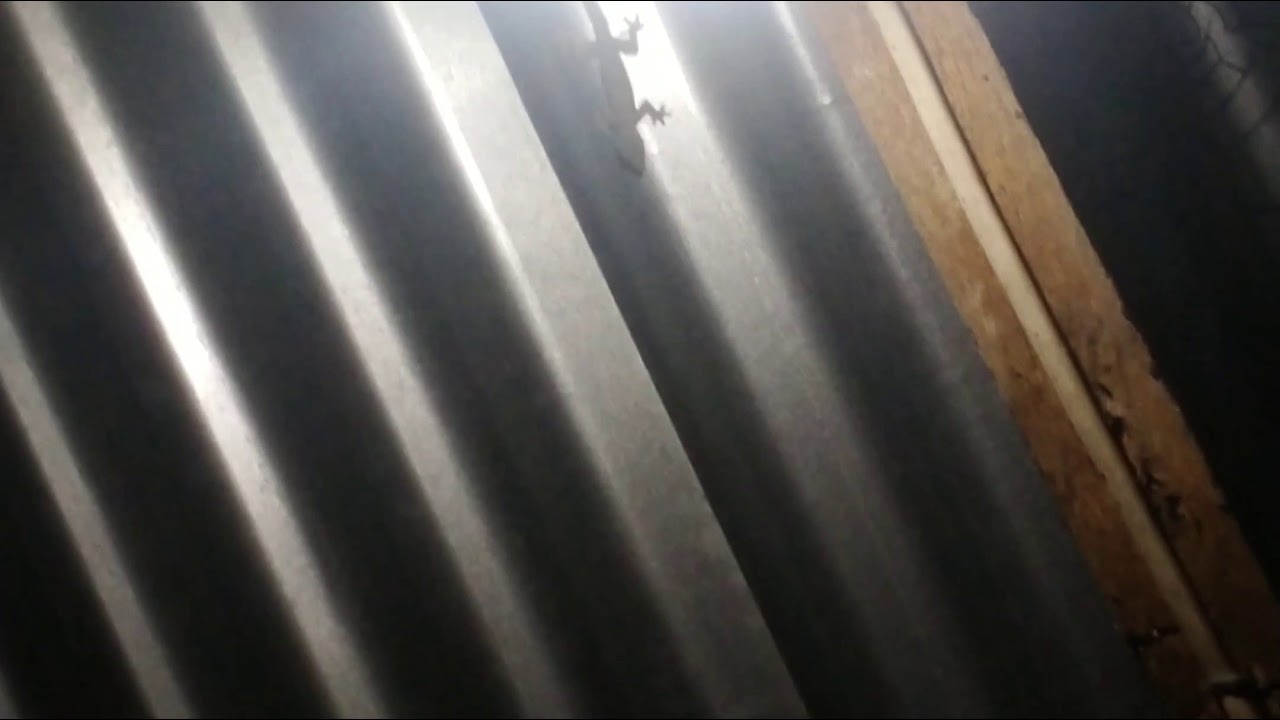 ||My First Horror Film || Trailer