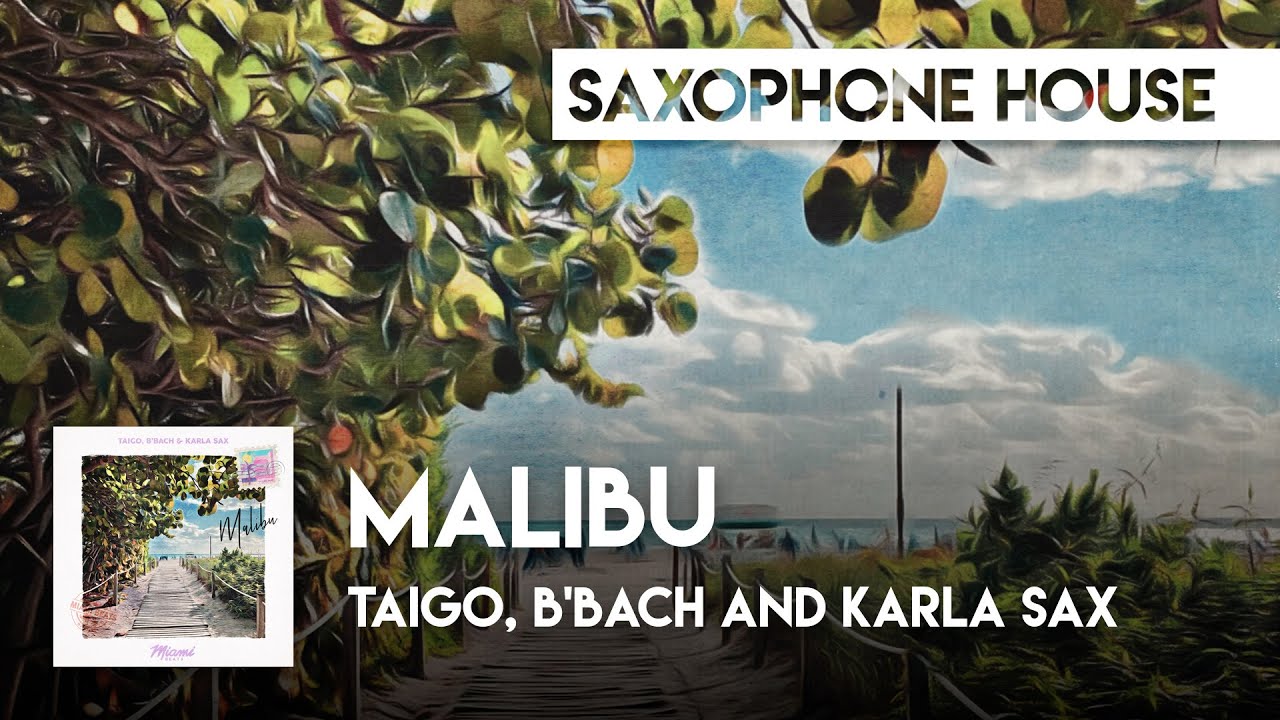 Guarda Sax House | Taigo, B'Bach and Karla Sax - Malibu su YouTube Guarda Sax House | Taigo, B'Bach and Karla Sax - Malibu su YouTube