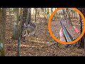 12 deer almost run me over  6 kills on cam