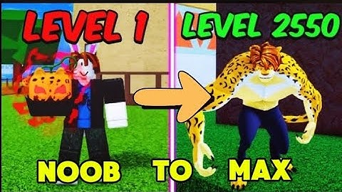Noob To MAX LEVEL Leopard in Blox Fruits [FULL MOVIE]