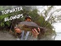 Overcast Topwater Fishing for Smallmouth Bass