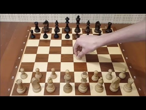 Видео: ЭТОТ МАТ НУЖНО ЗНАТЬ ВСЕМ! Самая красивая ЛОВУШКА в истории шахмат! Шахматы ловушки