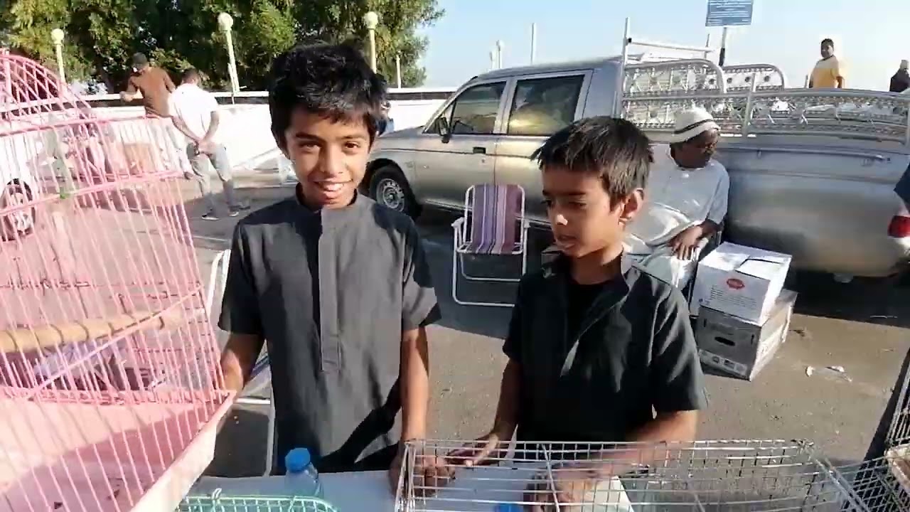 سوق السيب للطيور والحيوانات سلطنة عمان محافظة مسقط.. 13/12/2024ما شاء الله السوق حركة قوية.