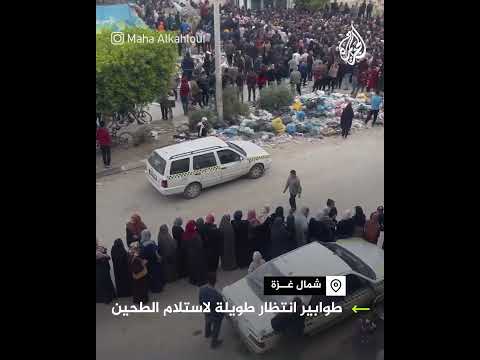 طوابير طويلة لاستلام الطحين في شمال غزة