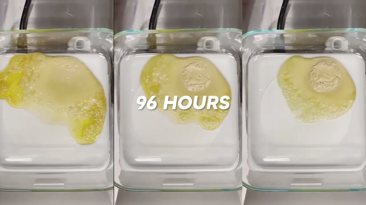 Rove Ice Rosin Education