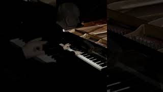 R  Schumann complete piano works VOL6 3