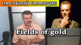 Video thumbnail of "Fields of gold on harmonica"