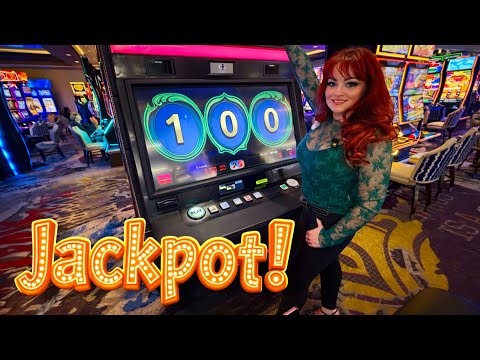 Arne Slot's Wife's Guide to Playing Casino Games in English for UK Players