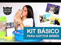 ¿Qué tener en casa para mi gatico bebé? ELEMENTOS BÁSICOS kit de iniciación, mi primer gato en casa