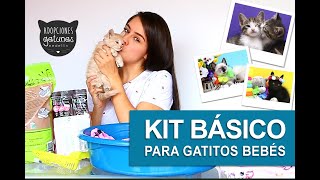 ¿Qué tener en casa para mi gatico bebé? ELEMENTOS BÁSICOS kit de iniciación, mi primer gato en casa