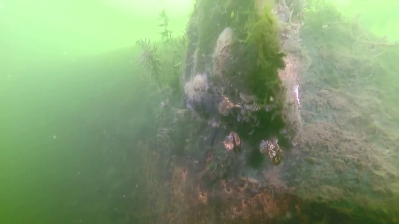 SCUBA DIVING, SOFIA - YouTube
