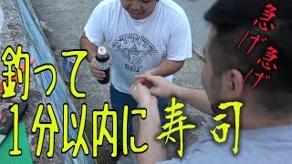 【新鮮】釣って最速で捌いて握るお寿司【最速握り】