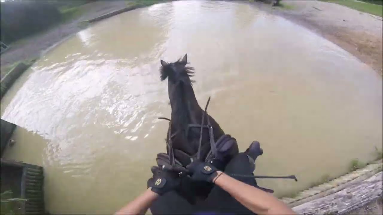 Lyneham Heath Cross Country 2023 - Blue