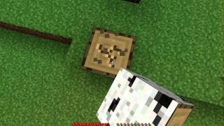 Minecraft test.......WITH FRAPS! :D