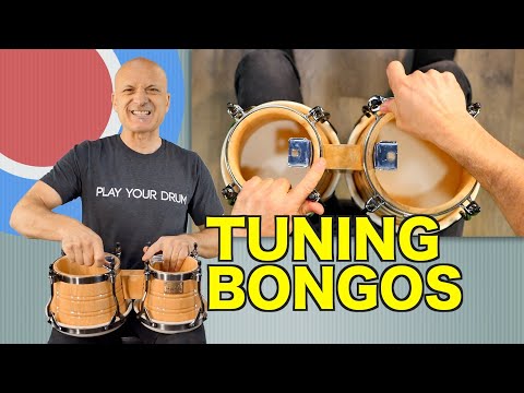 Bongos को कैसे ट्यून करें - Tutorial