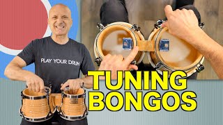 How to Tune Bongos - Tutorial
