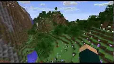 Minecraft with FRAPS recording software.