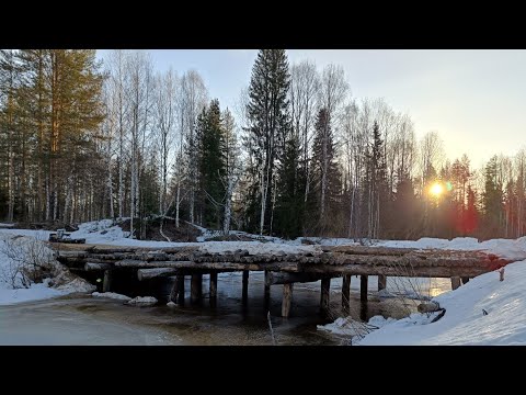 Поехали в вторую избушку с ночёвкой. Опасный переход через речку, боюсь утопить мотособаку 1 серия.