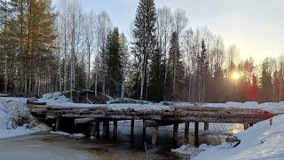 Поехали В Вторую Избушку С Ночёвкой. Опасный Переход Через Речку, Боюсь Утопить Мотособаку 1 Серия.