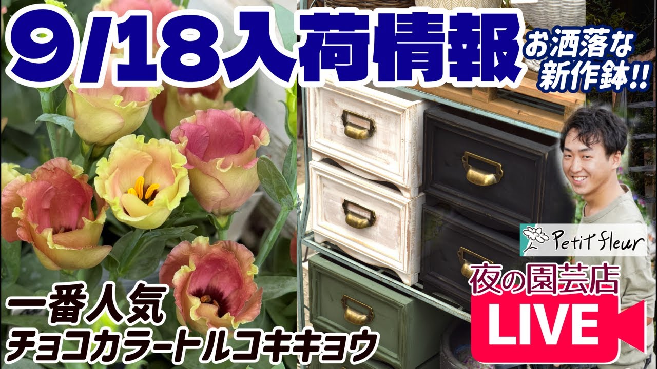 New Flower Seedlings & Decor] Lisianthus, new wooden planters, and