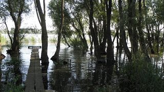 Украинская Венеция, Аккерман, Шабо - день1 (Вилково)