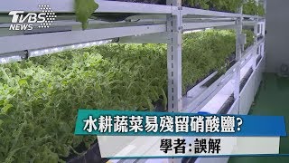 水耕蔬菜易殘留硝酸鹽？ 學者：誤解