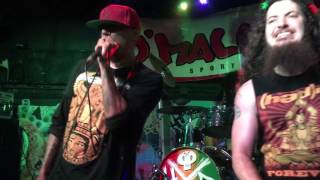 Hed PE "Pay Me" 12-1-16 O'Malley's Sports Bar & Grill Margate, FL