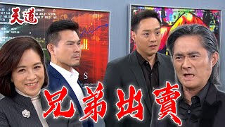 天道 EP243預告 楊夫人挑撥千手千影!兄弟倆和陳長勝決裂 決心出賣老大|@setdramatw