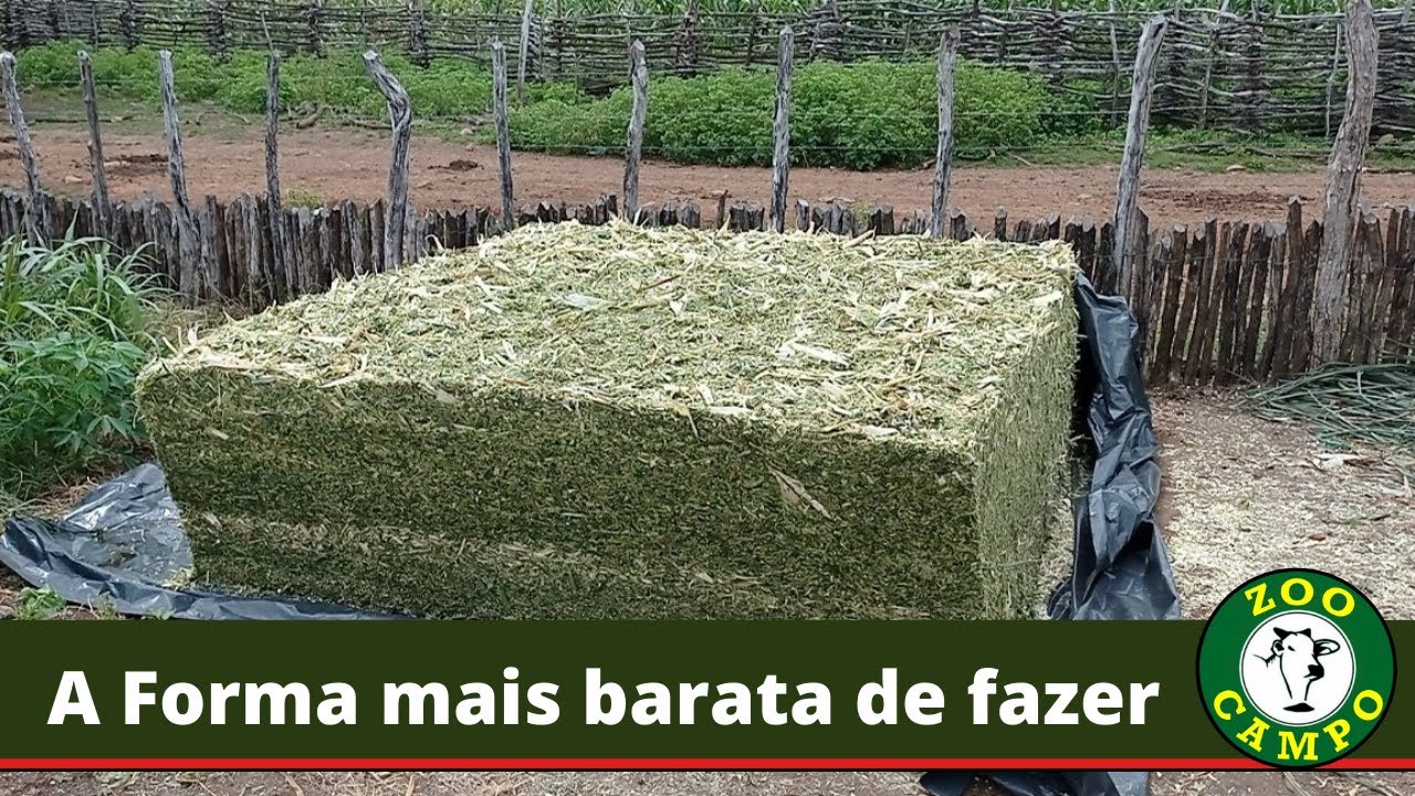 Silagem para pequeno produtor para fazer ao lado do curral.