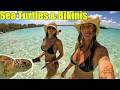 Harbour Island with My Bikini Crew &amp; Puppies | Sea Turtles, Beaches &amp; Night Swims