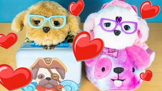 🐶 Los cachorros estrenan mochilas para el primer día de guardería 🐾 Brownie y Princesa enamorados!