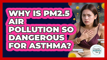 Why Is PM2.5 Air Pollution So Dangerous For Asthma? - Everyday Asthma Tips