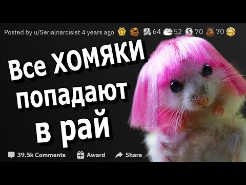 Расскажите, как нелепо рипнулся ваш хомяк? Сколько живут хомяки?