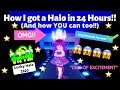 How I got a HALO in LESS than 24 HOURS!! (You can too!)