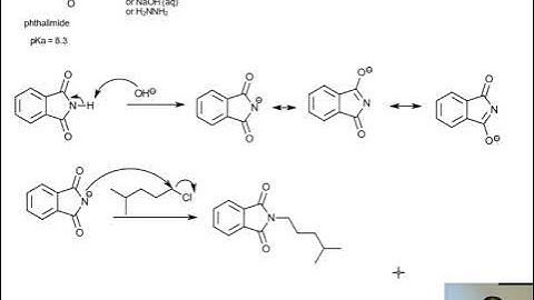 Gabriel Amine Synthesis