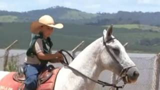 Mangalarga Marchador TV - programa 346