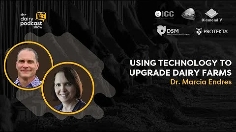 #13 - Dr. Marcia Endres: Using technology to upgra...