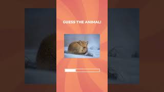 GUESS THE ANIMAL 🦊 Are you a wildlife EXPERT?  #quiz #animalquiz #games #animals screenshot 2