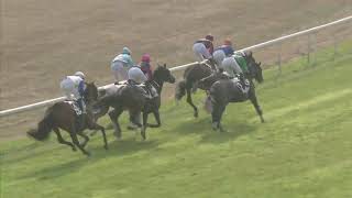 Vidéo de la course PMU GRAND HANDICAP AVENCHES