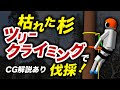 ツリークライミングで木を切る！CG解説も！