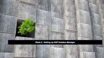 Setting up SAP Solution Manager