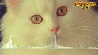 DEAV KEF Invincible [Harianja Release]